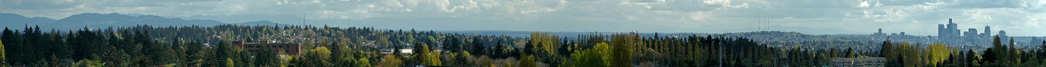 View of Maple Leaf and Downtown from Broadview
